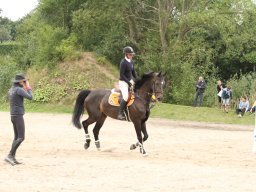 2017 LF Hestedag